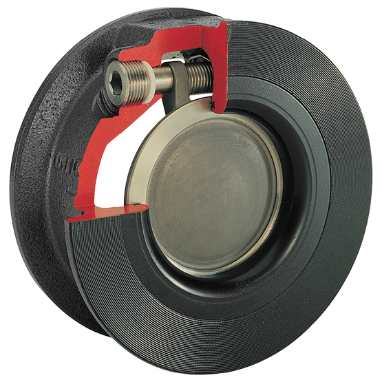 Valvula de retencion tipo giratoria F86